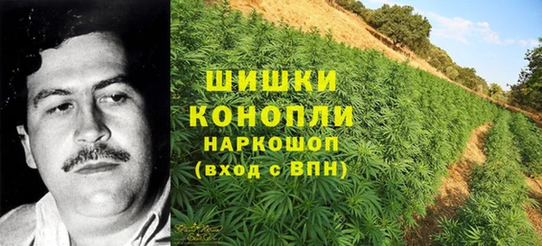 спиды Алзамай